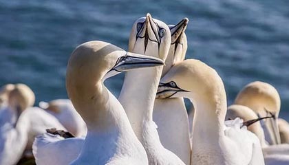 开云·体育官网-那些我们熟悉的欧冠“绝杀场面”图片集，欧冠决赛爆冷