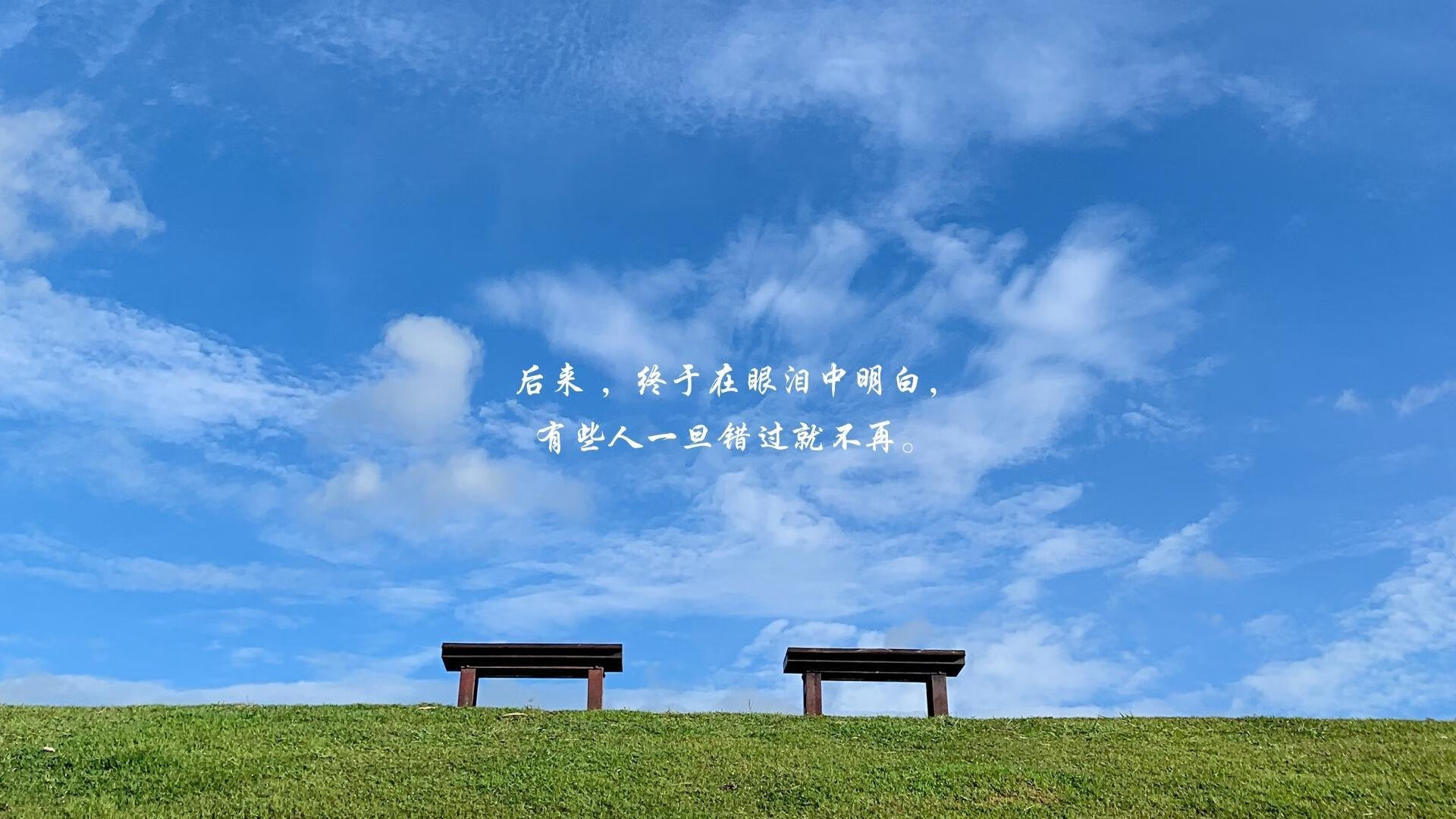 车迷故事：那些令人感动的支持瞬间，小车迷的故事