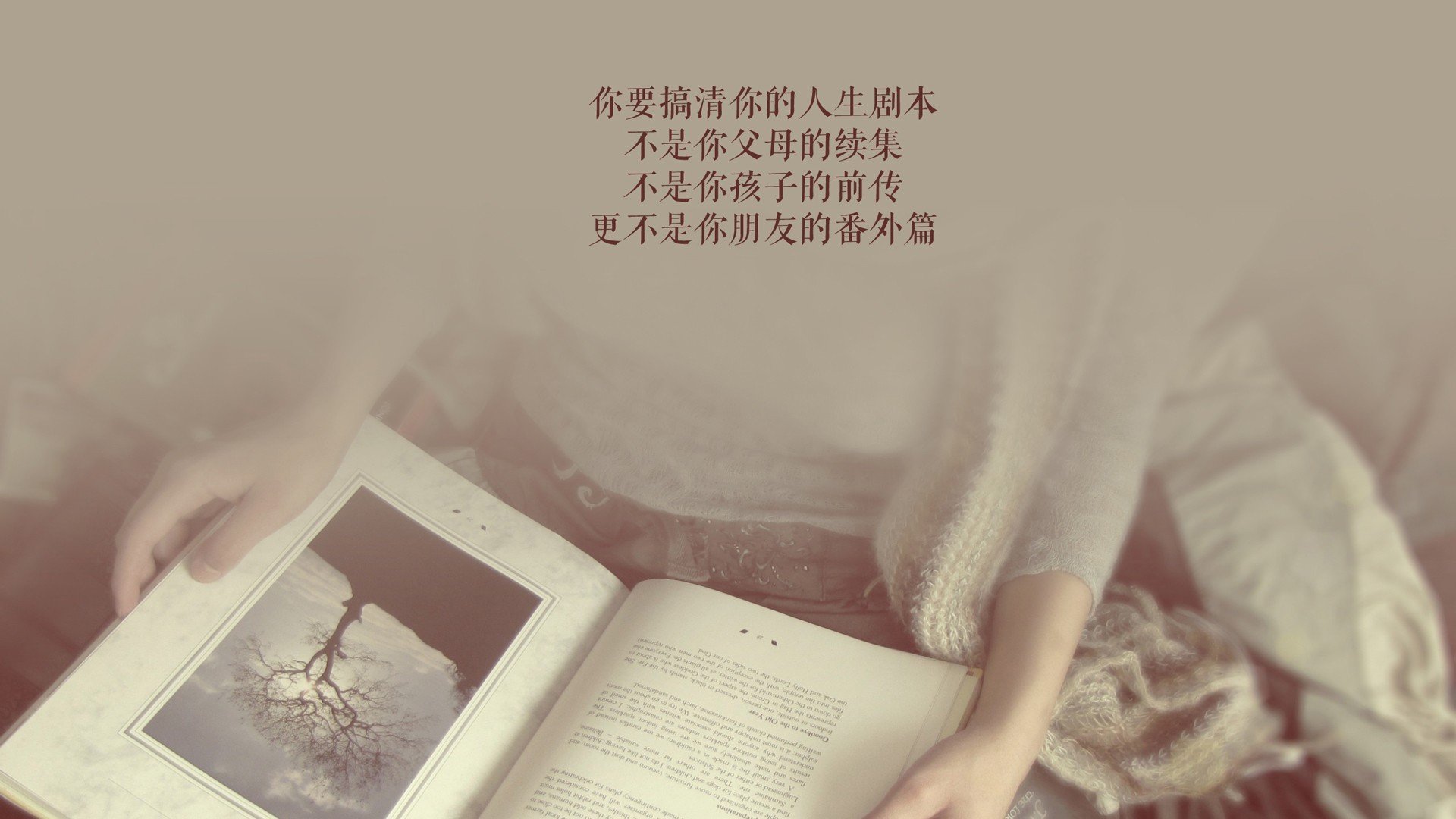 本菲卡与波尔图上演焦点大战，波尔图和本菲卡