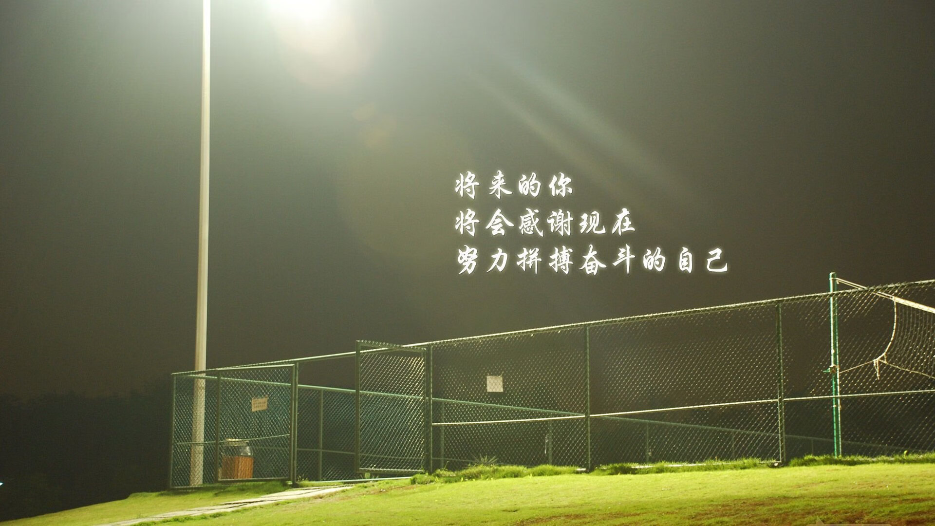 纽卡斯尔3-1莱斯特城，进攻端火力全开，纽卡斯尔vs莱斯特城聚胜顽球汇