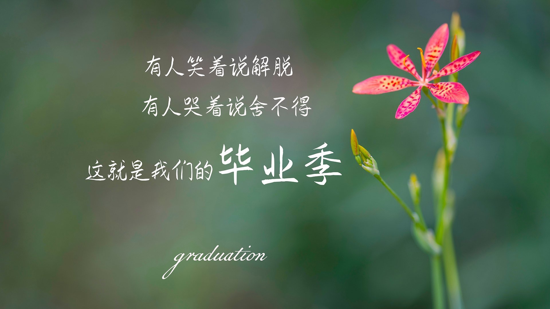 詹姆斯带伤作战仍砍下高分，詹姆斯出战