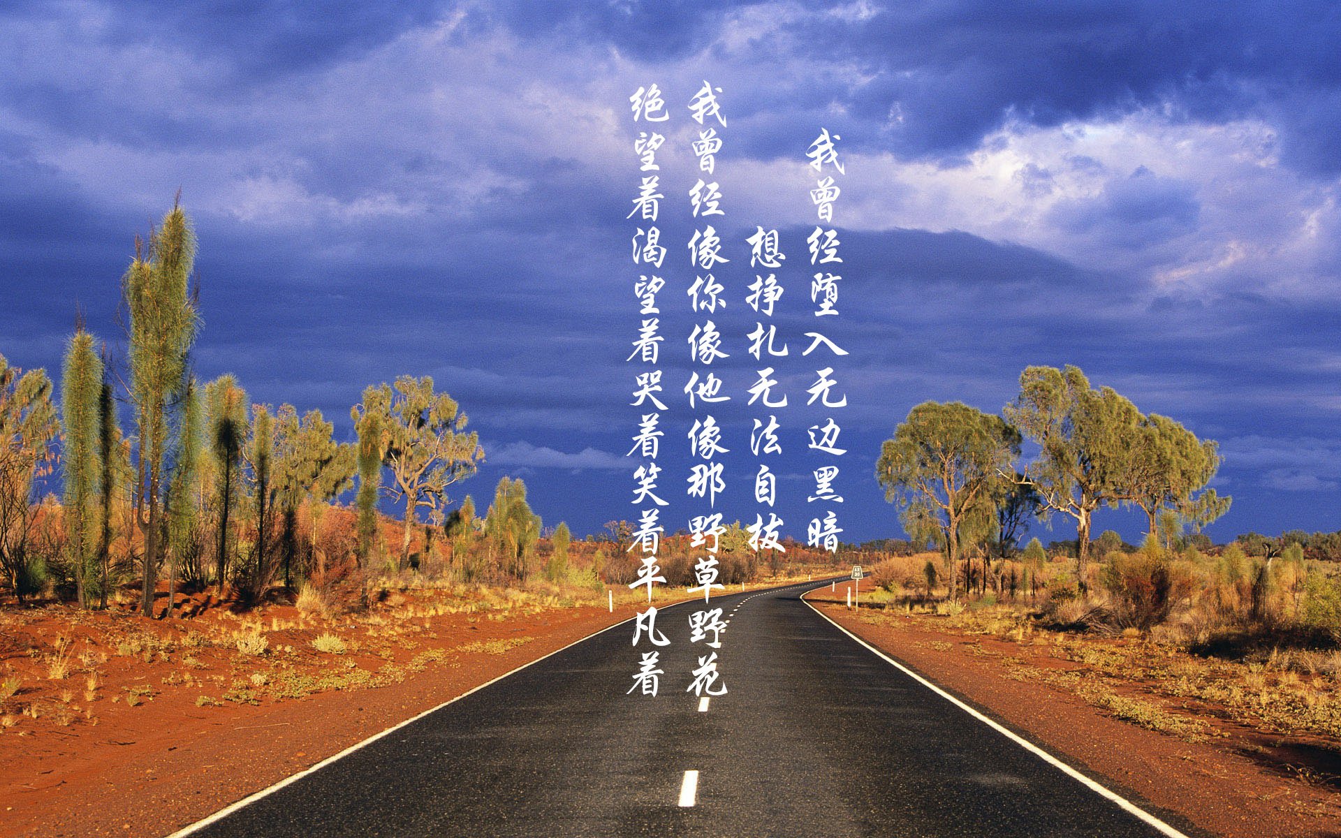 贝内文托战胜蓝鹰，守卫主场稳定积分榜排名，贝内文托战绩500