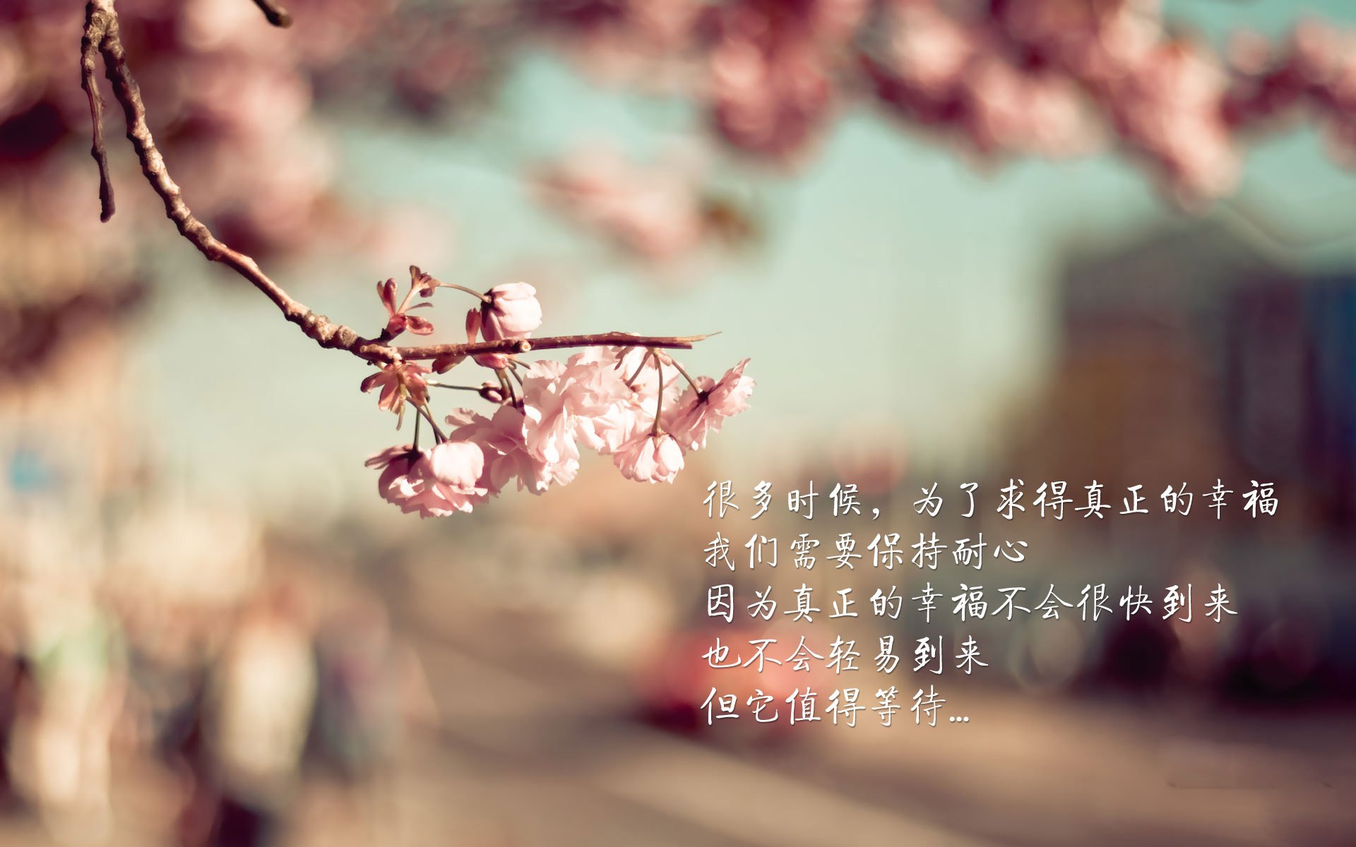 阿森纳进攻多点开花，枪手冲击冠军，阿森纳枪王