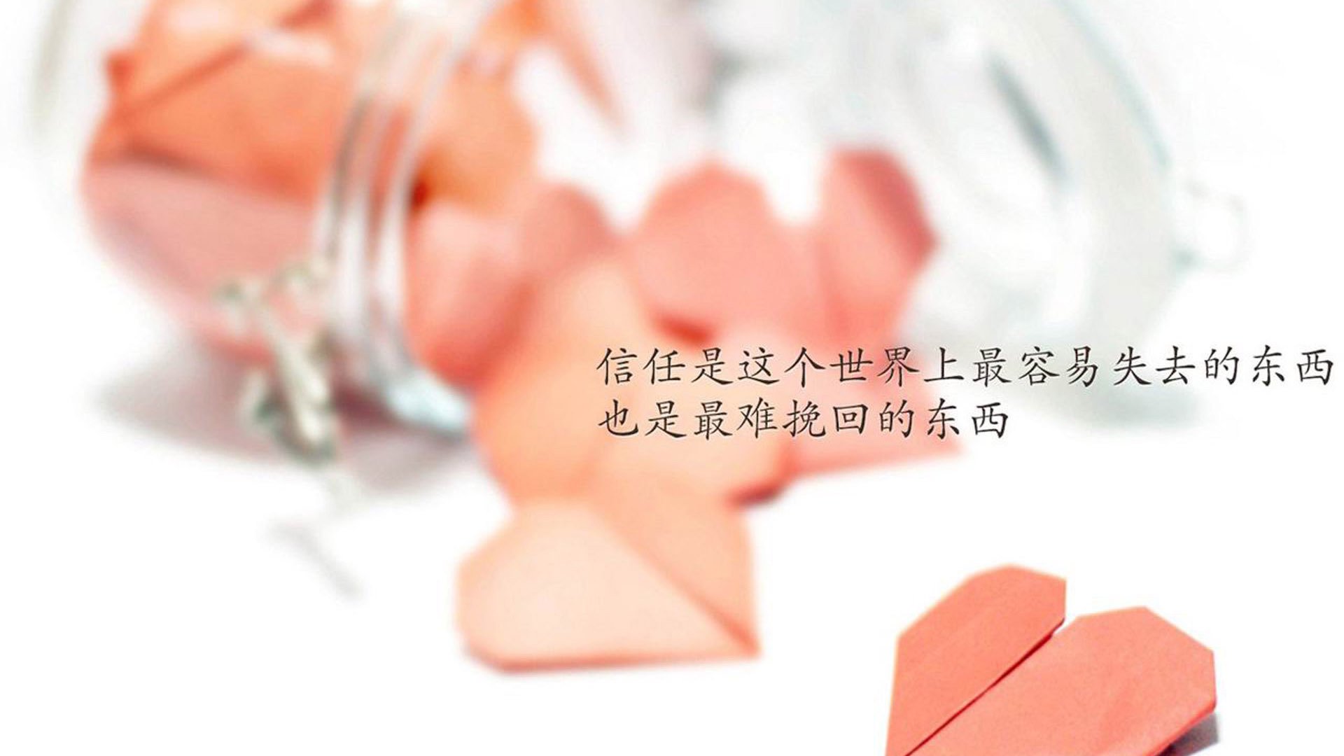 校园体育文化建设实践与成效评估，校园体育文化建设的重点