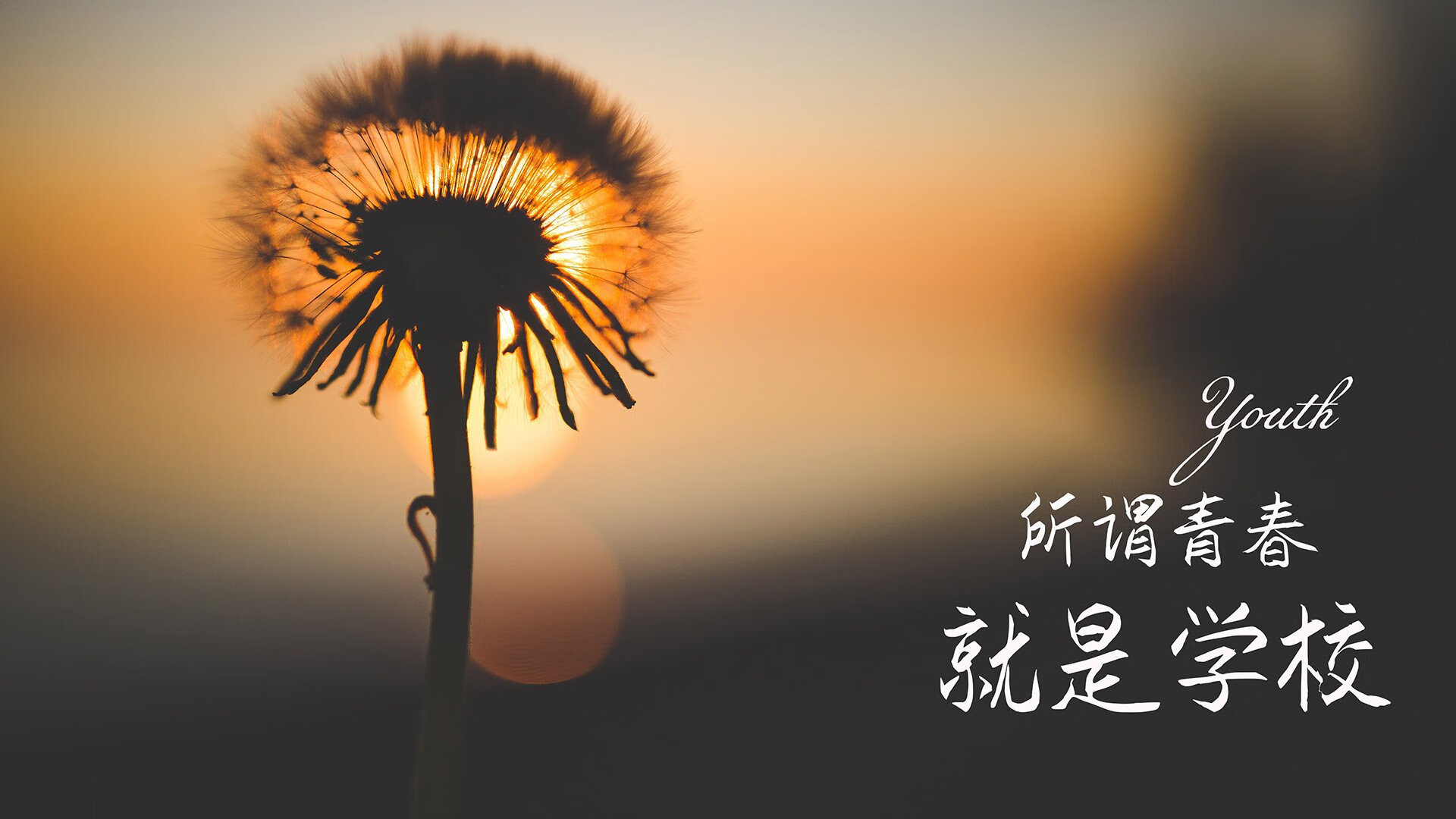 英超防守体系调整后犯规率变化及其战术启示，英超新规则