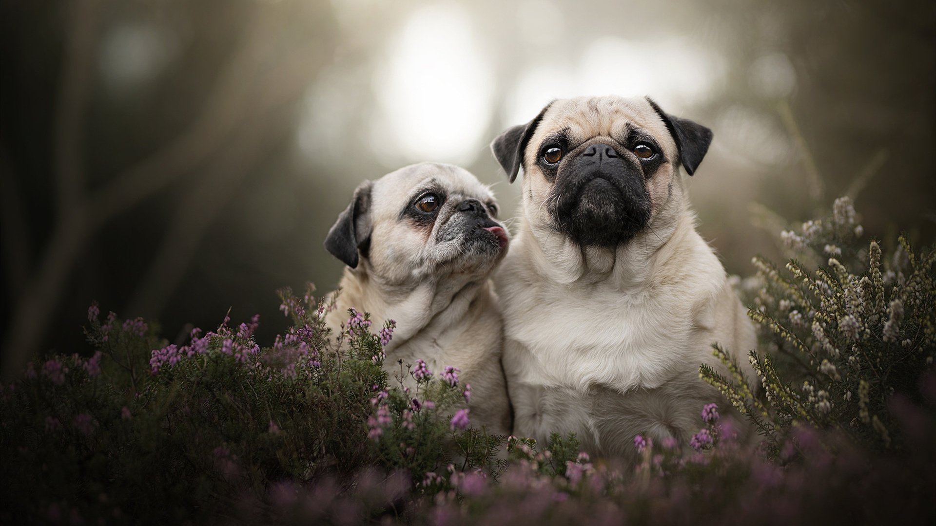 “东安湖体育公园:2025世界运动会激战正酣,水上竞技看点十足”