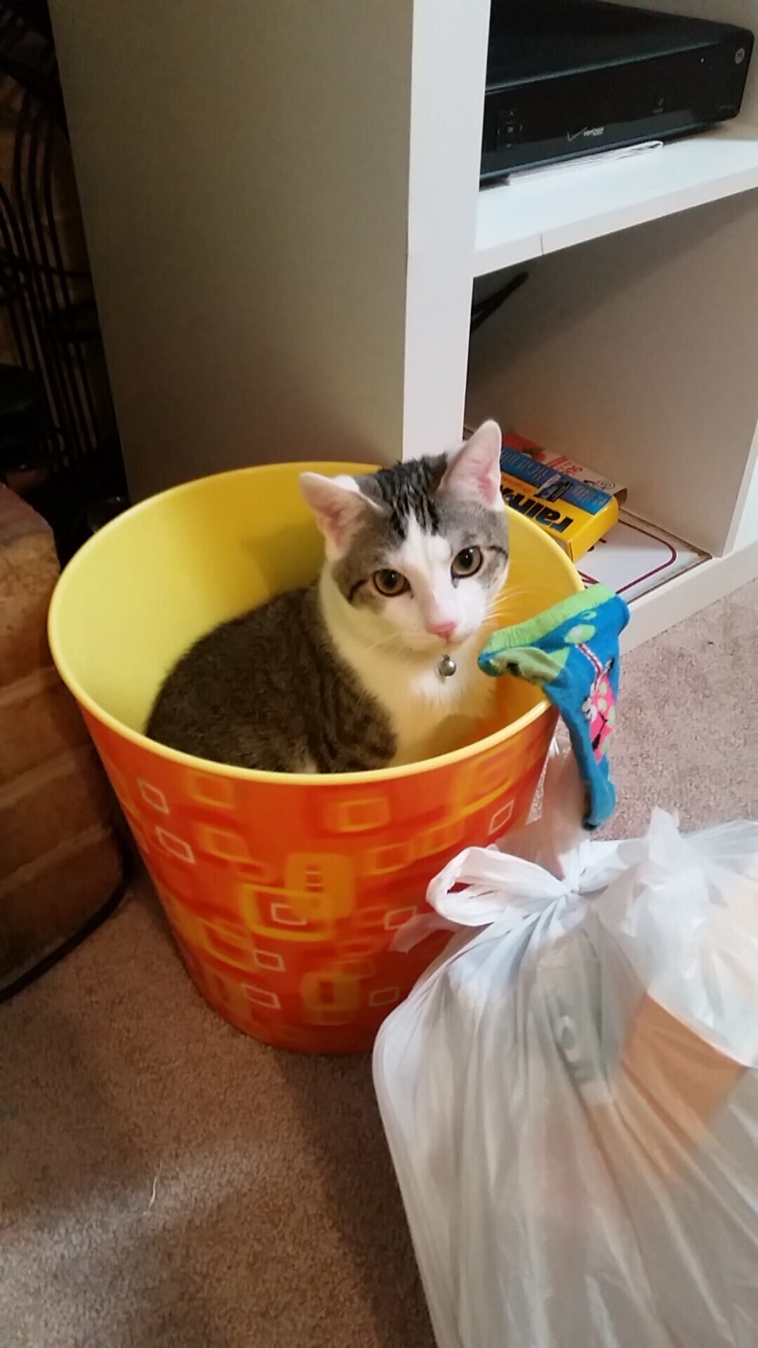 kaiyun.com-中国女篮核心球员表现突出，中国女篮核心球员表现突出