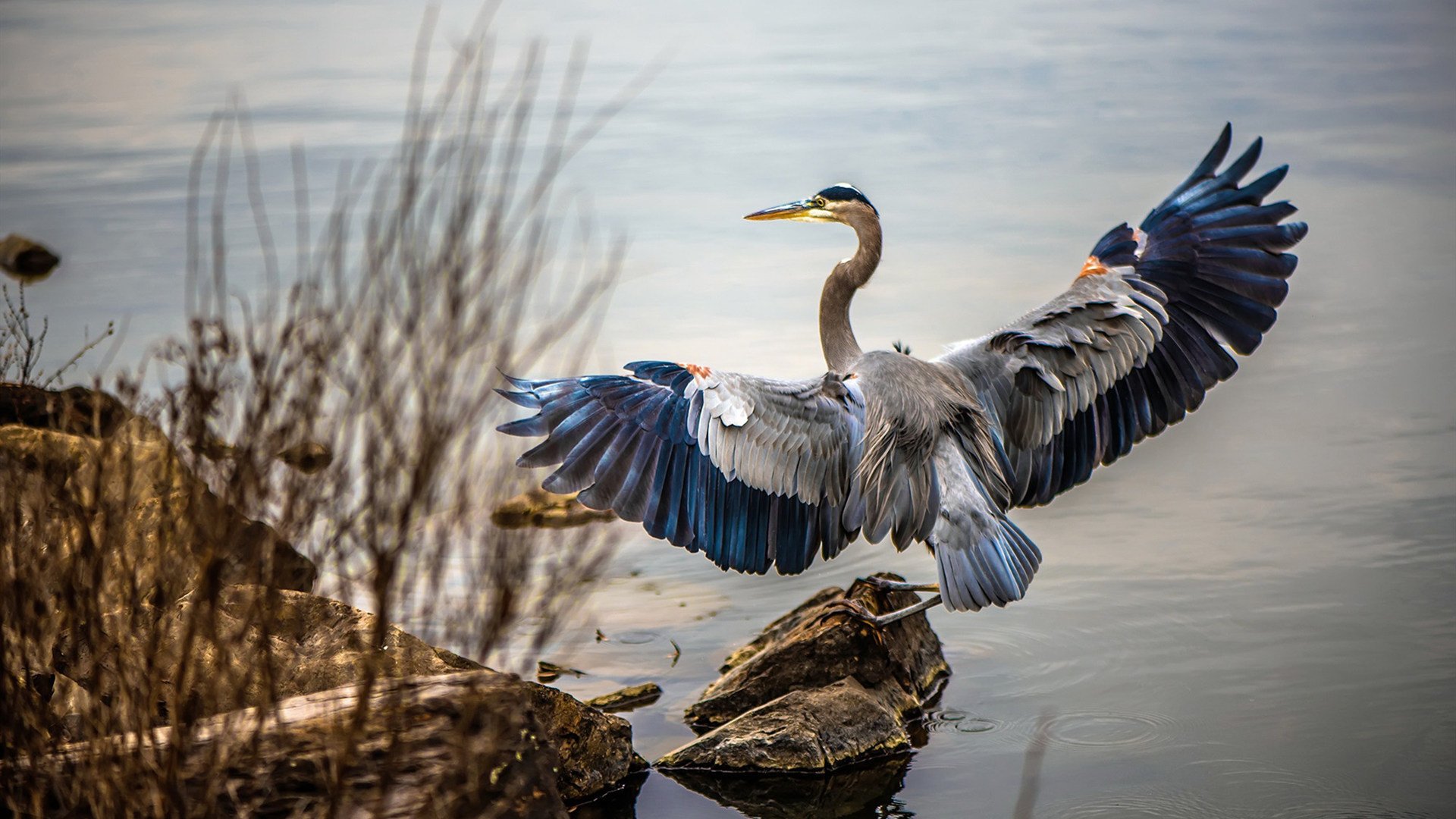 场馆设施智能化提升运营效率,场馆设施智能化提升运营效率方案