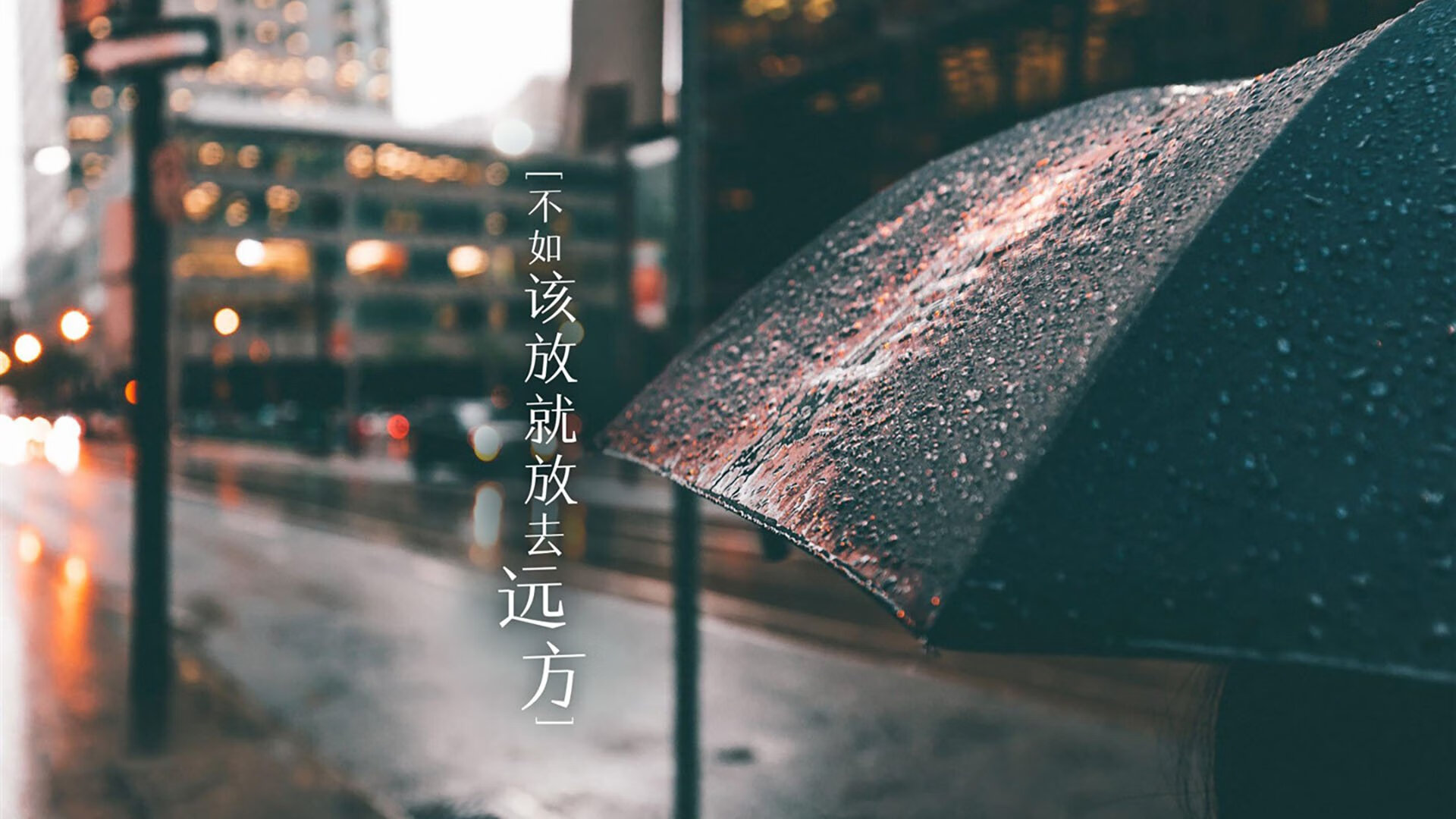 中国足球联赛推动建立常规化青训督导机制,中国足球青训体系现状