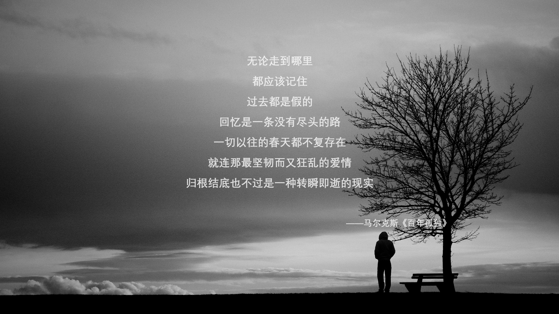 斯洛文尼亚男篮在欧洲锦标赛中表现优异，晋级迅速