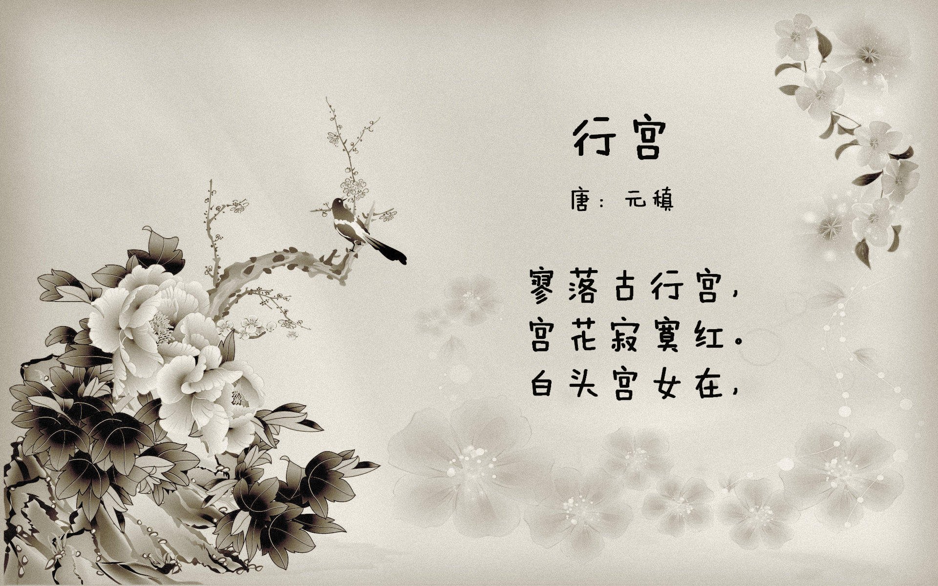 步行者继续培养新秀未来可期,步行者未来选秀权