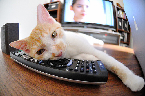 开云官网APP下载-科特迪瓦男篮在非洲锦标赛中连续夺冠，体育传统再攀新高，科特迪瓦男篮vs中国男篮视频