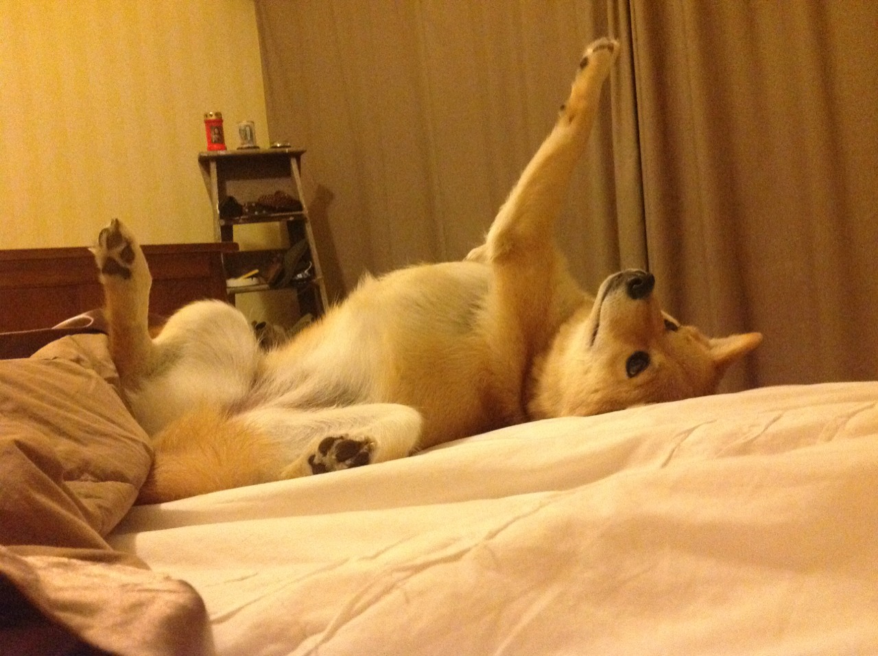 开云官方-西甲激情对抗：明星战士逐梦绿茵场！，西甲足球视频