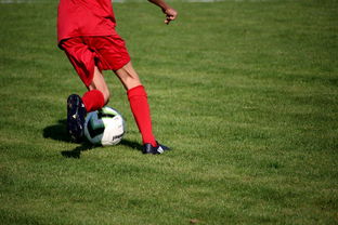 KAIYUNAPP-鹈鹕青训体系被评为联盟样板项目，鹈鹕原来是哪个队